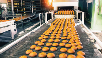 Food Processing Industries 